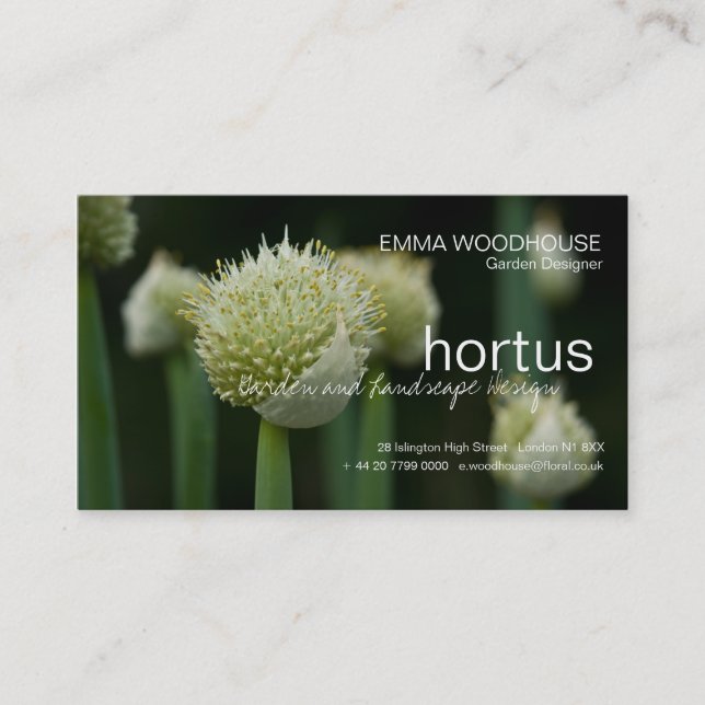 Hortus - Allium Cartão de visita (Frente)