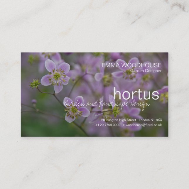 Hortus - cartão de visita do Thalictrum (Frente)