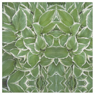 Hosta deixa o Tecido de imagens espelhadas