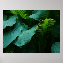 Hosta e Fern Poster