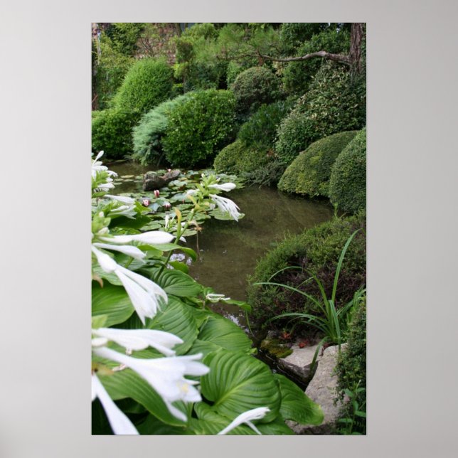 Hosta em um Poster de Jardim Zen (Frente)