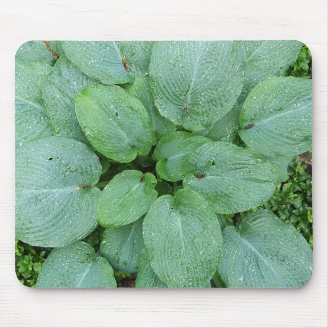 Hosta Mousepad (Frente)