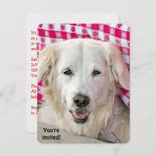 Hot Dog Fry convite (Frente/Verso)