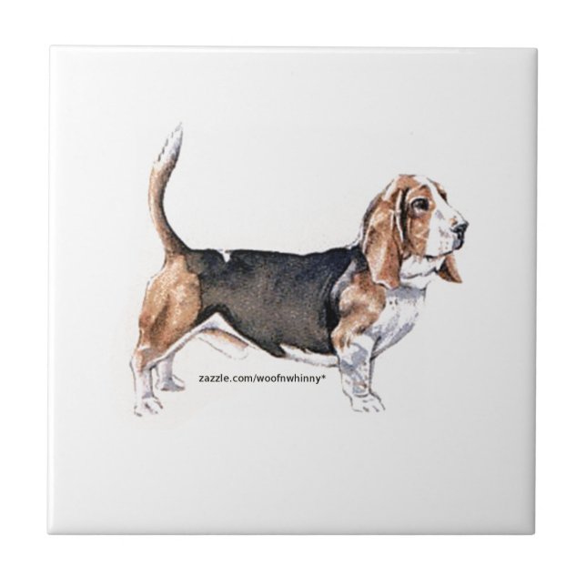 Hound Basset (Frente)