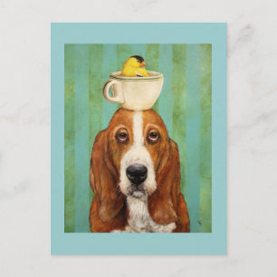 Hound basset com goldfinho no cartão postal do te