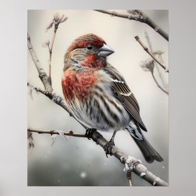 House Finch Bird Art Impressão (Frente)