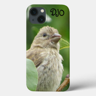 House Finch Bird Personalizado