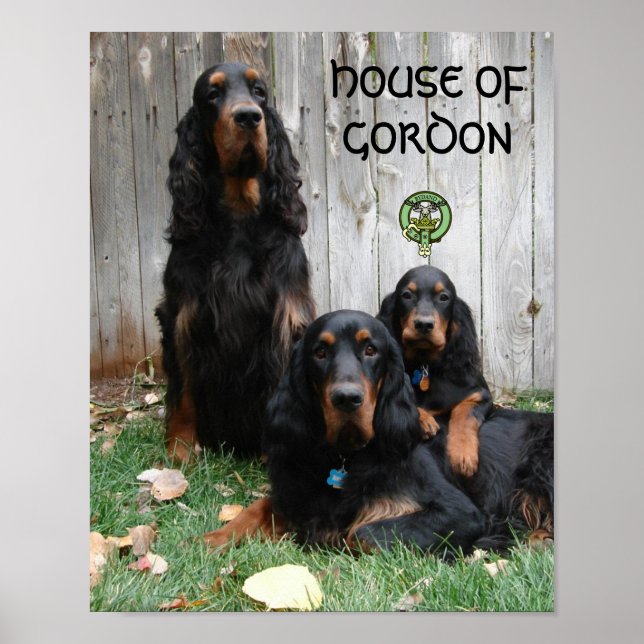 HOUSE OF GORDON Gordon Setter Generations Poster (Frente)