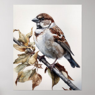 House Sparrow Bird Art Impressão