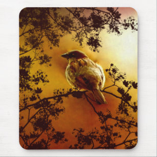 House Sparrow Mousepad