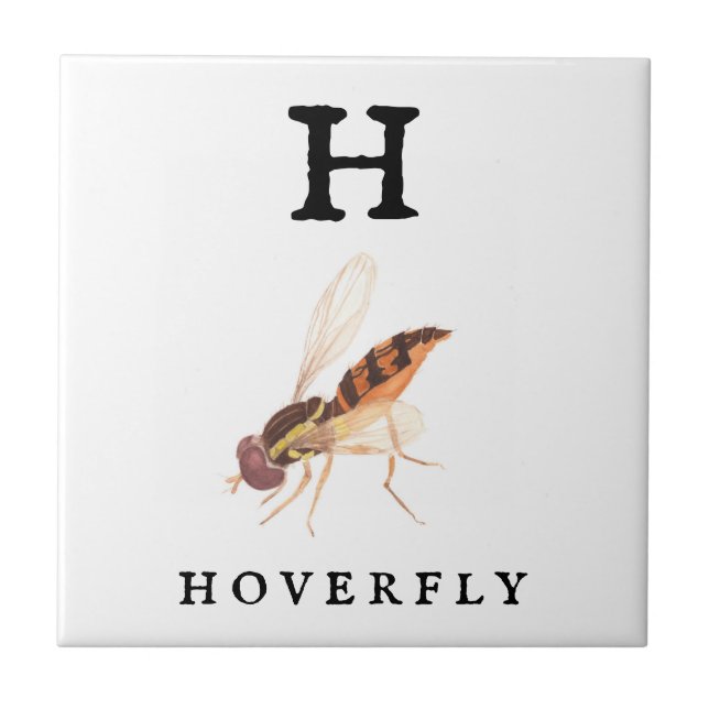 Hoverfly (Frente)