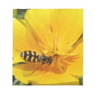 Hoverfly e bloco de notas da flor