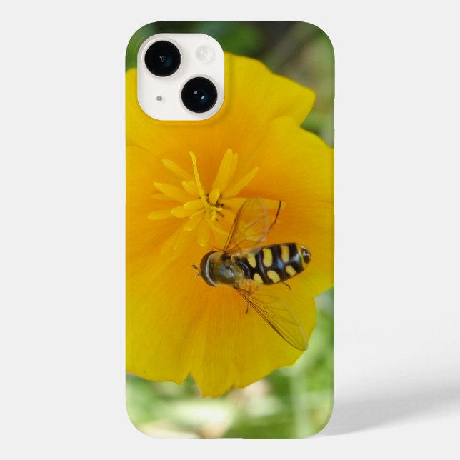 Hoverfly e California Poppy (Verso)