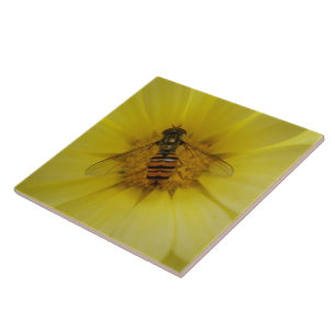 Hoverfly em um Azulejo Marigold
