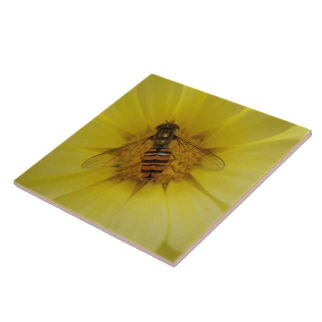 Hoverfly em um Azulejo Marigold (Lateral)