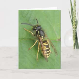 Hoverfly em um Cartão Saudação Folha