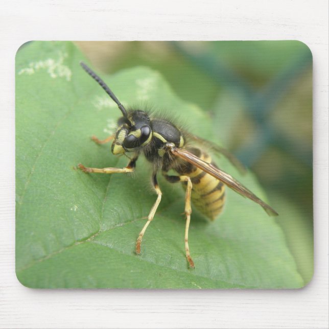 Hoverfly Macro Mousepad (Frente)