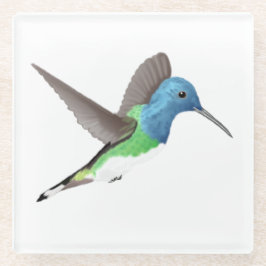 Hovering Jacobin Hummingbird - transparente.