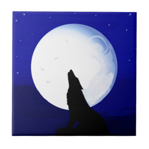 Howlin Coyote - Arizona Tucson