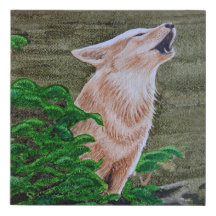 Howling Coyote