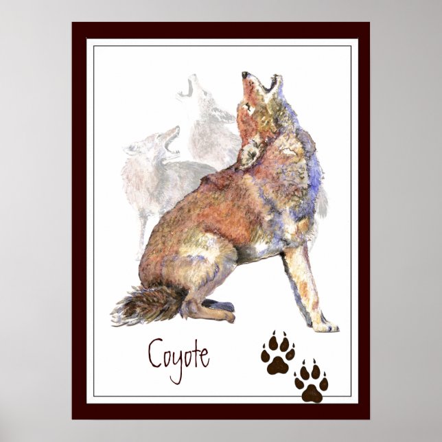 Howling Coyote Original Watercolor Animal Poster (Frente)