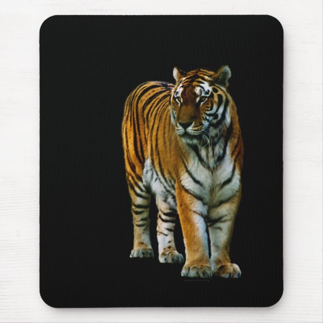 Hu Lin Mousepad (Frente)