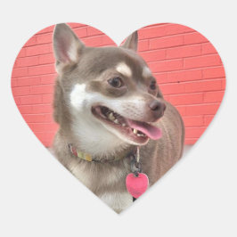 Huey tem meus adesivos cardíacos!