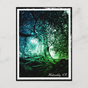 Hukvaldy - Cartão postal Beech Tree, Morava, Czech