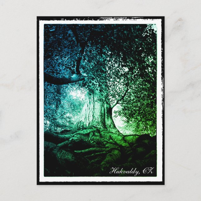 Hukvaldy - Cartão postal Beech Tree, Morava, Czech (Frente)