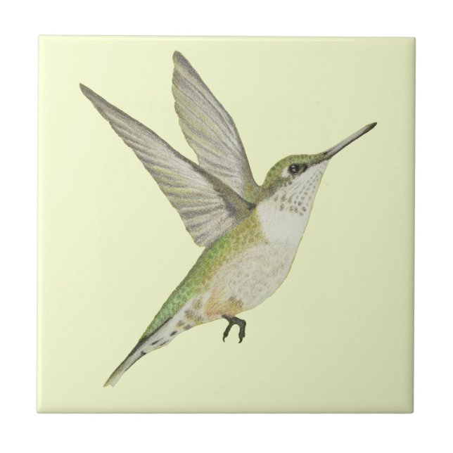 Hummingbird (Frente)