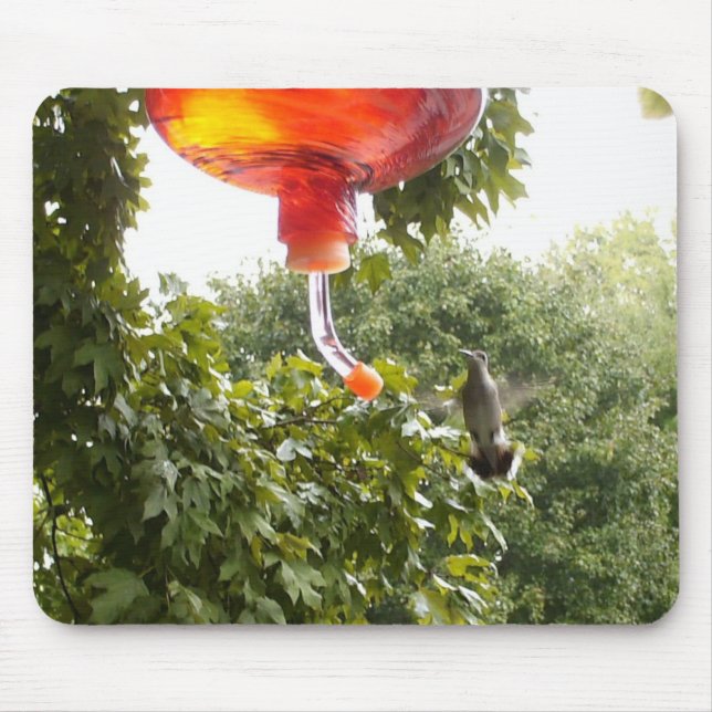 Hummingbird 2, Mousepad (Frente)
