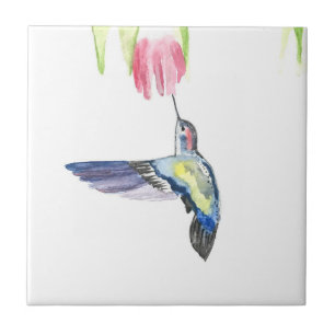 Hummingbird Aves Selvagem Aquarela Colorida