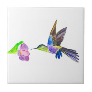 Hummingbird Aves Selvagem Aquarela Colorida