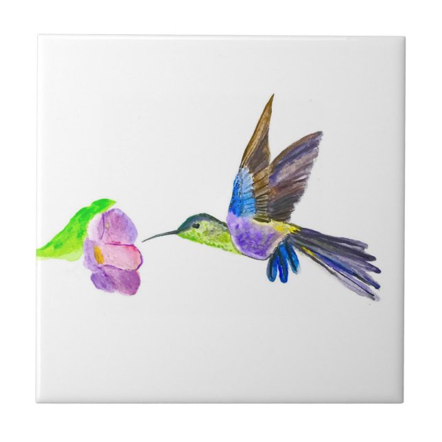 Hummingbird Aves Selvagem Aquarela Colorida (Frente)