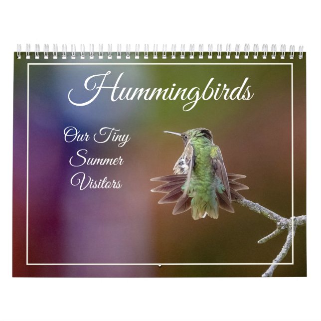 Hummingbird, Calendário de Visitantes de Verão Peq (Capa)