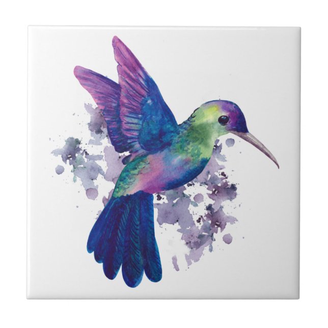 Hummingbird Colorido Elegante Aquarela (Frente)