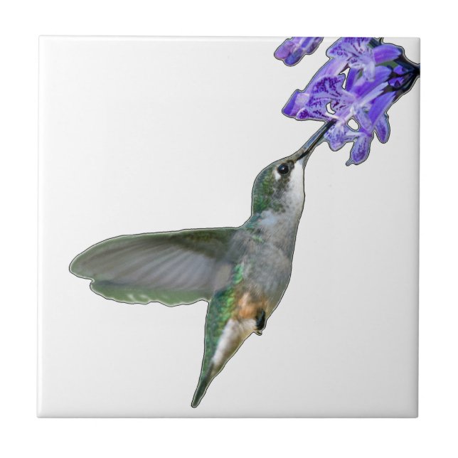 Hummingbird com Lavanda Mona (Frente)
