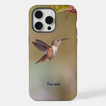 Hummingbird de Allen