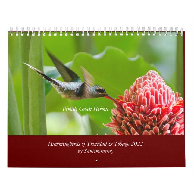 Hummingbird de Trinidad e Tobago 2022 Calendário (Capa)
