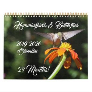 Hummingbird e Borboletas 2019 Calendário 2020