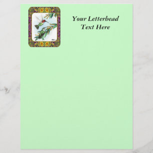 Hummingbird e Flores #4