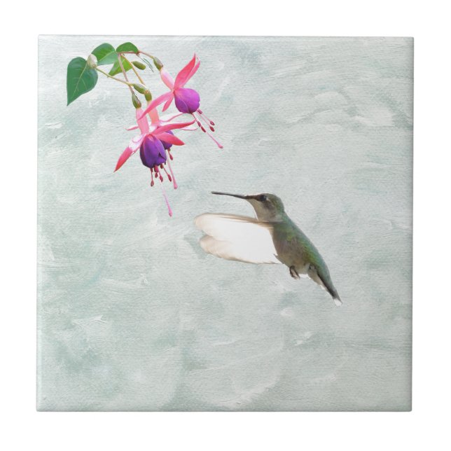 Hummingbird e Fuschia (Frente)