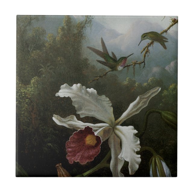 Hummingbird e Orquídea Branca por Martin J. Heade (Frente)