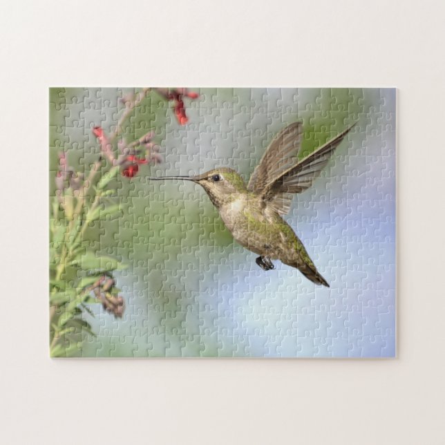 Hummingbird em Voo Com Quebra-cabeça de Flor (Horizontal)