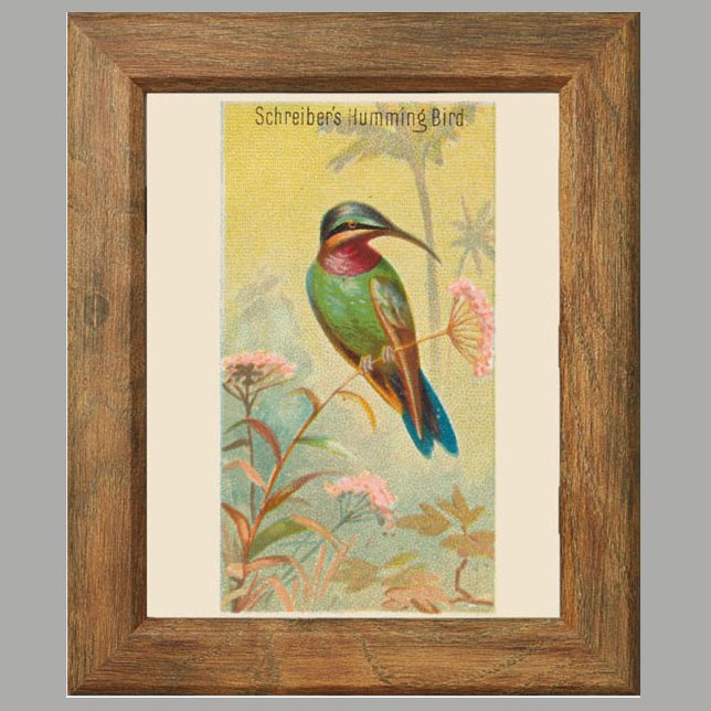 Hummingbird, Gallery Wall Art Set 6, 5/6 Poster (Criador carregado)