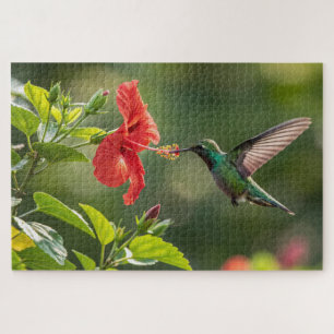 Hummingbird Hibiscus Quebra-cabeça - Arte trópica