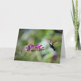 Hummingbird Moth, cartão