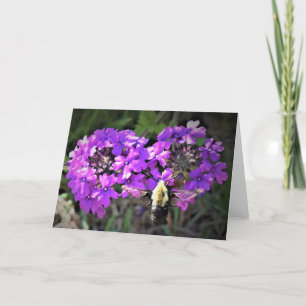Hummingbird Moth & Verbena, cartão