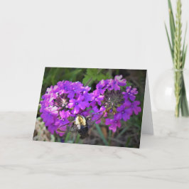 Hummingbird Moth & Verbena, cartão
