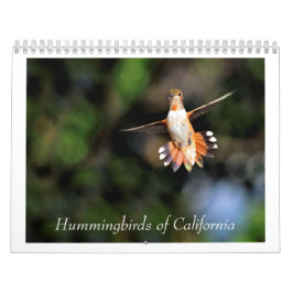 Hummingbird na Califórnia 2024 Calendário